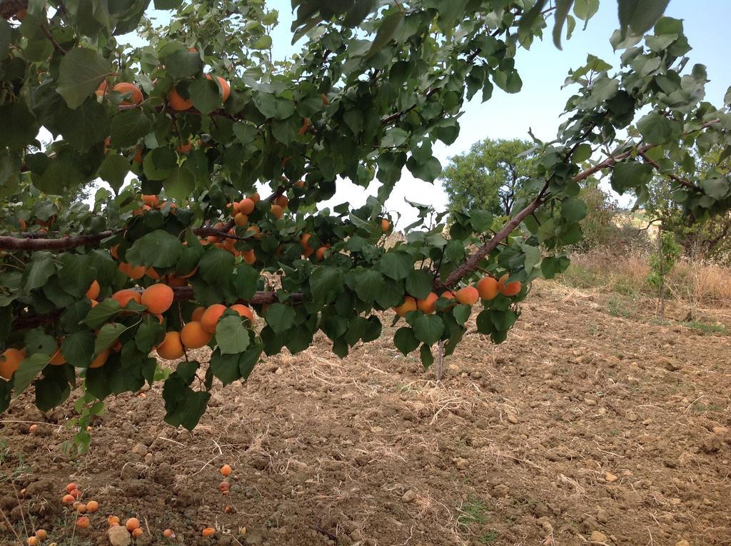 B&B A Robba de Pupi Agrigento Exterior foto